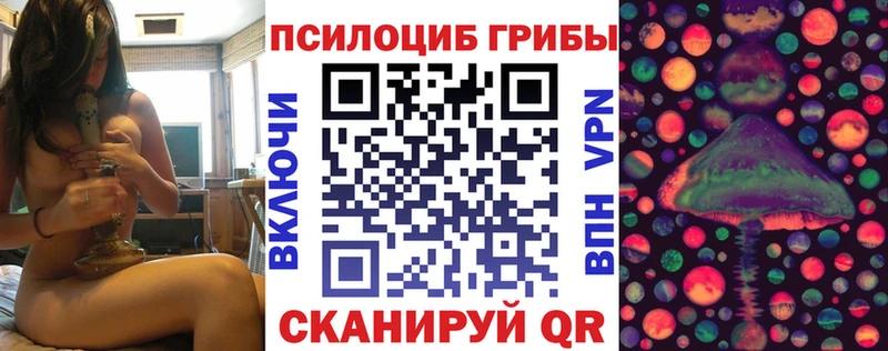 kraken вход  Суоярви  Галлюциногенные грибы Psilocybe 