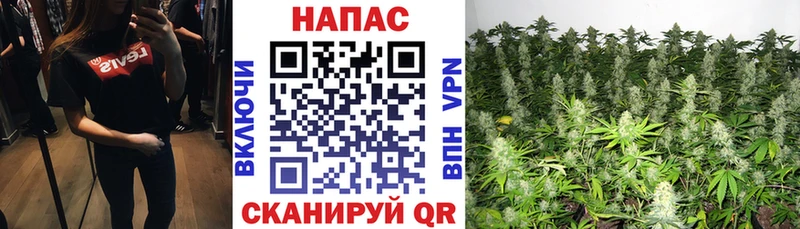 кракен как зайти  Суоярви  Шишки марихуана конопля 